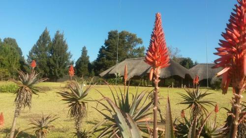 Bed & Breakfast African Flair Country Lodge