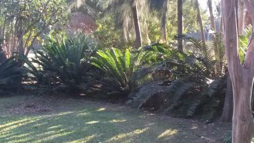 Bed & Breakfast African Flair Country Lodge