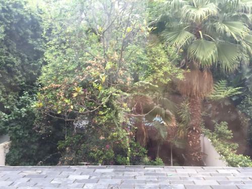 Apartamento Sandown Place