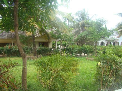 Bed & Breakfast Jambo Brother Room & Food