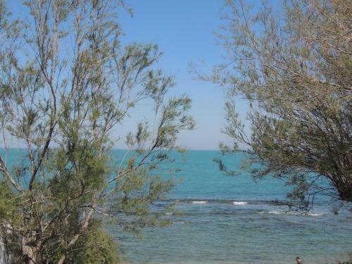 Hostal La Marsa Guest House
