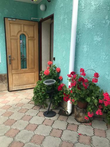 Posada Green House