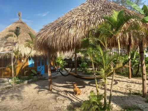 Ha My Seaside Hoi An Homestay