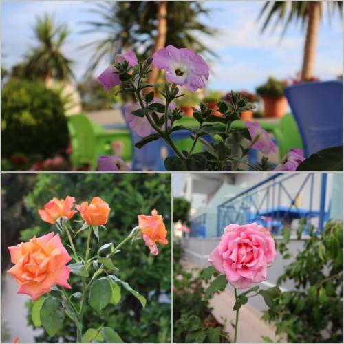 Apartamentos Villa Erdeti