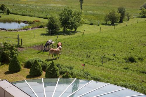 Apartamento Landhaus Seeblick