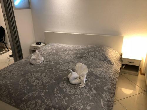 Apartamento Boardingstudio Heidelberg