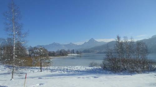 Apartamentos Fw Weissensee