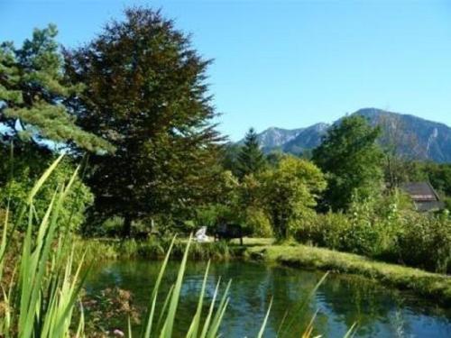 Hostal G�stehaus Quellenhof
