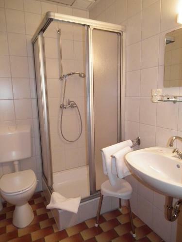 Hotel-pension "zum Ochsenkopf"