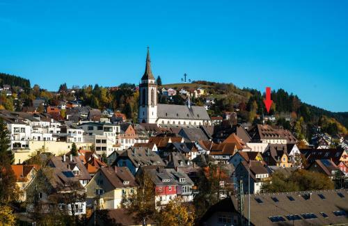 Apartamento Hochschwarzwald Ferienwohnung