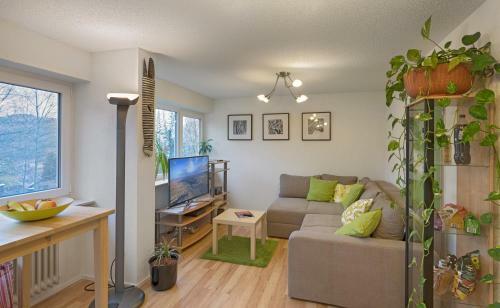 Apartamento Hochschwarzwald Ferienwohnung