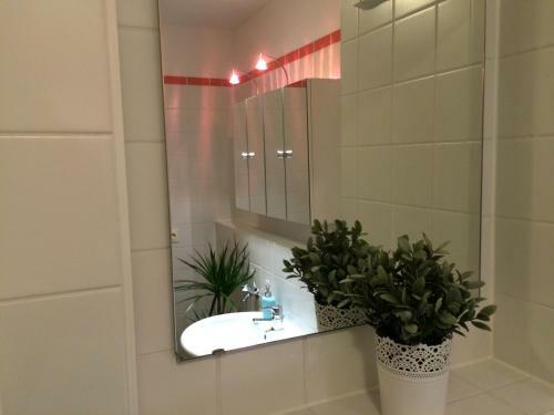 Apartamento City Wohnung Halle Am Markt