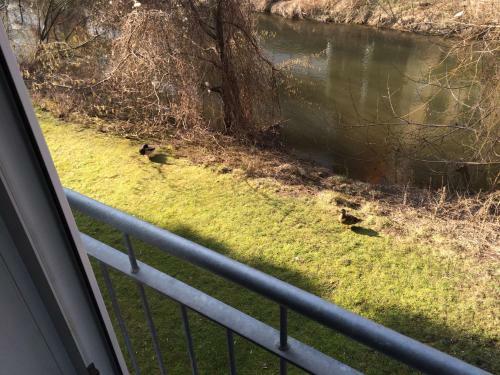Apartamento City Wohnung Halle Am Markt