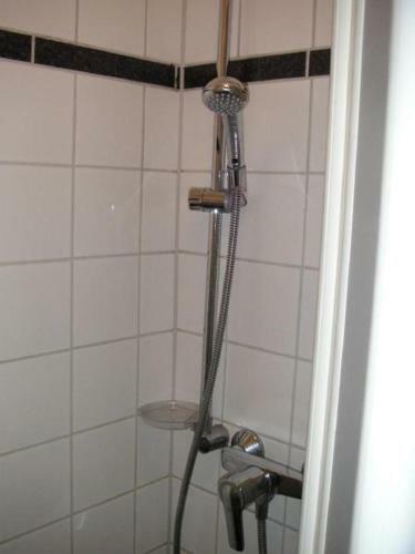 Albergue Jugendherberge Bonn