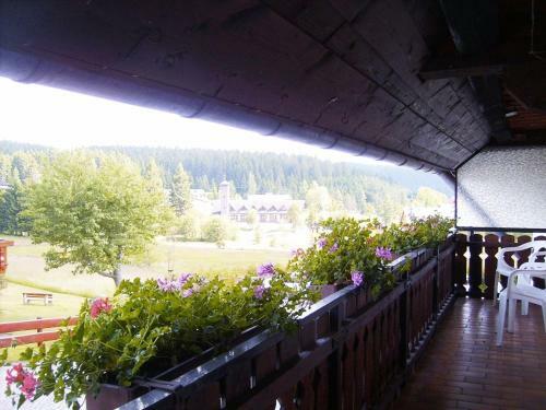 Hostal Pension Wiesengrund