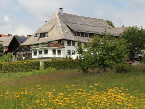 Hostal Pension Wiesengrund