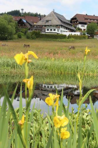 Hostal Pension Wiesengrund