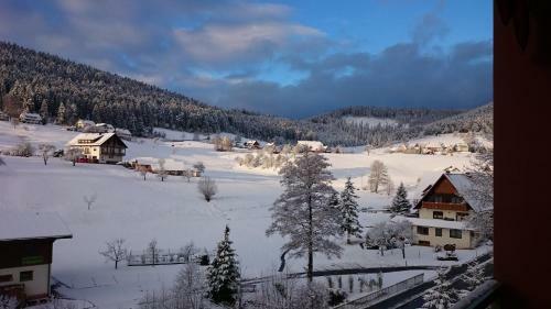 Apartamentos Waldblick