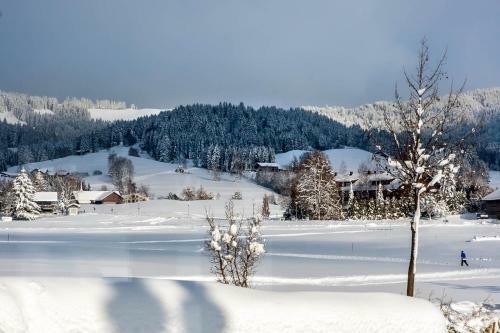 Steinhausers Hotel Hochb�hl