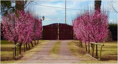 Lodge Establecimiento Rural El Cha�ar