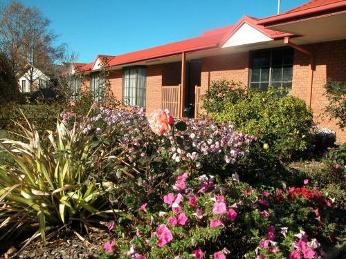 Ambassador Motor Inn