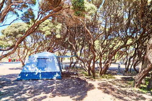 Anglesea Beachfront Family Caravan Park