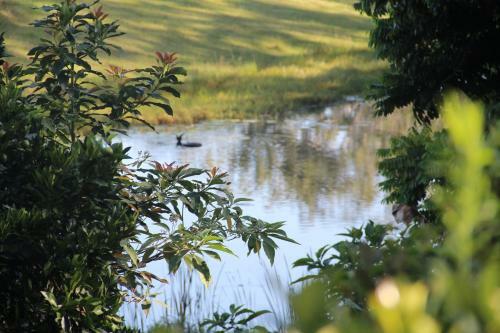 Agroturismo The Lakehouse Manor