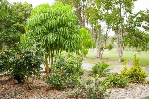 Kempsey Rose Motor Inn