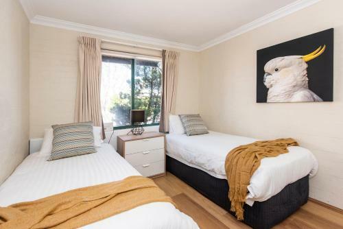 Apartamento Subiaco Village - 34