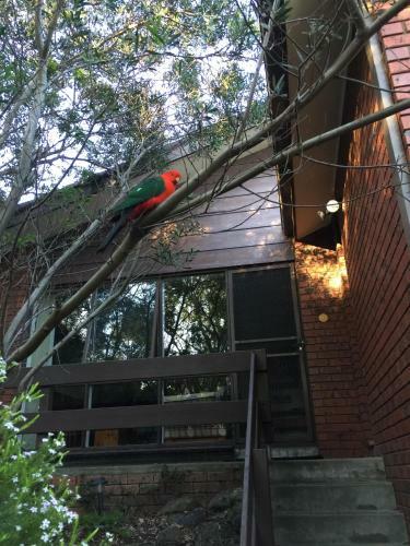 Holiday Home In The Heart Of Anglesea