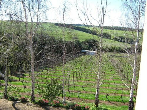 Hostal Waybourne- Vineyard And Winery