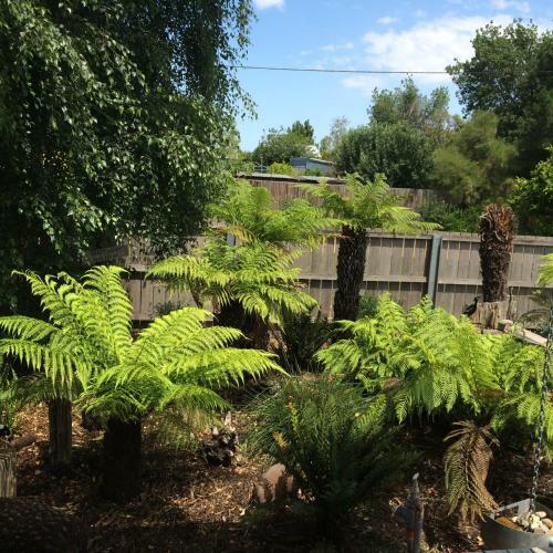 Pinestumps Holiday Home