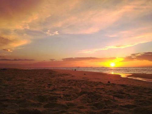 Albergue Ocean Beach Backpackers