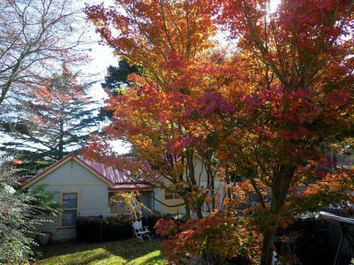 Shelton-lea Bed & Breakfast