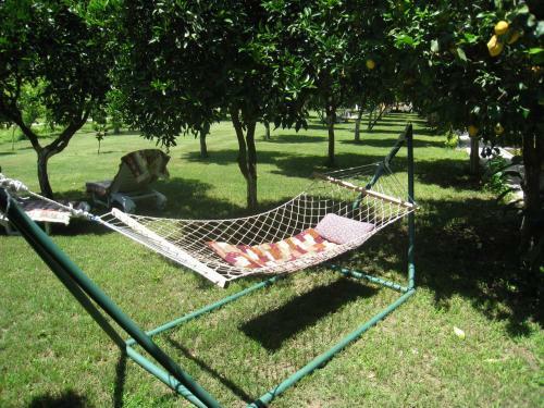 Hostal Blue Paradise Pension