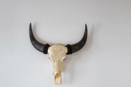Motel The Matador