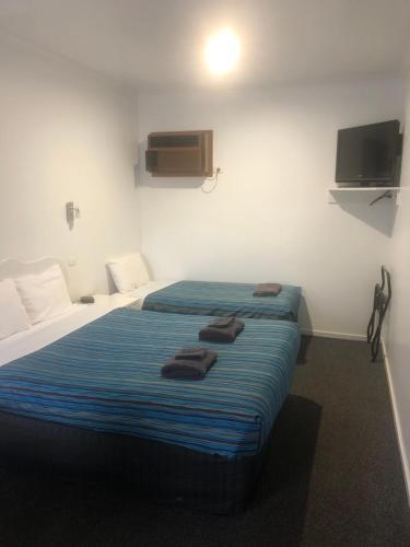 Bandicoot Motor Inn Hamilton