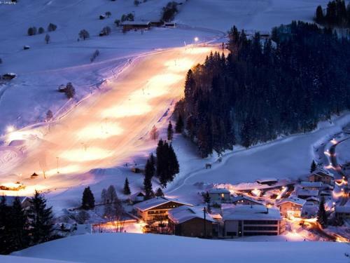Cozy Apartment With Sauna In Leogang