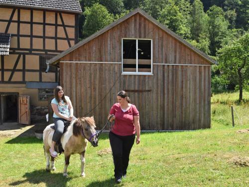 Holiday Home Am Ferienbauernhof III