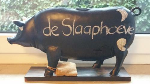 Agroturismo De Slaaphoeve