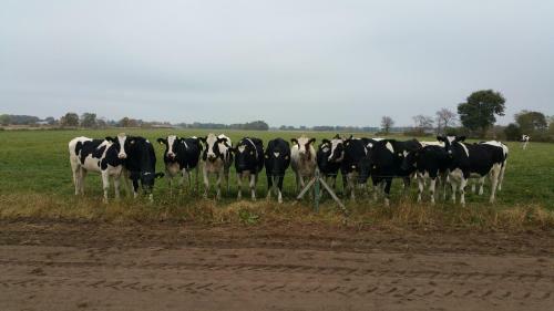 Agroturismo De Slaaphoeve