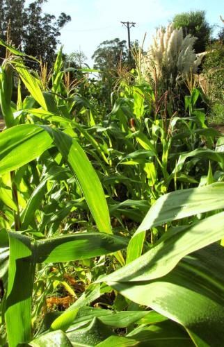 Caba�a Estilo Natural Los Acantilados