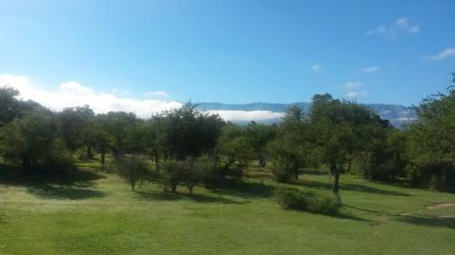 Campo De Los Zorros