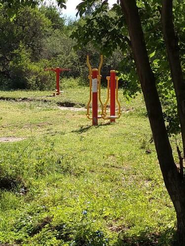 Campo De Los Zorros