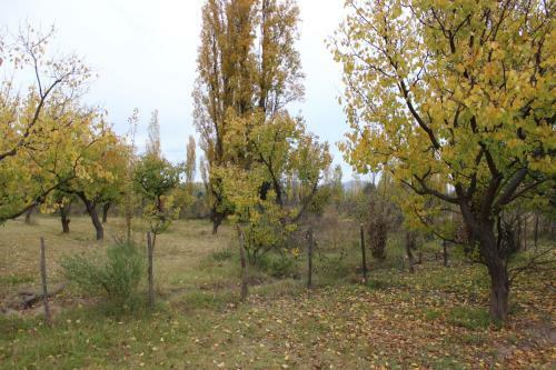 Lodge Aldea Amedo