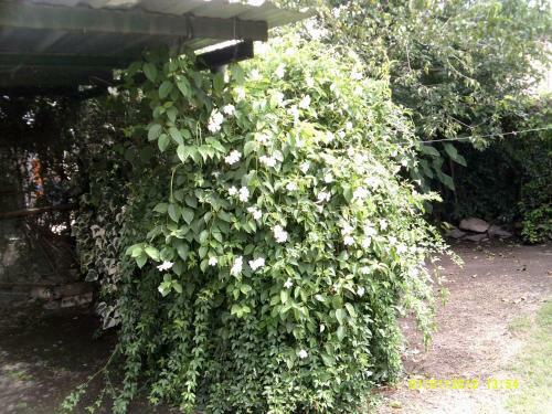 Apartamento Las 4 Estrellas Rojas