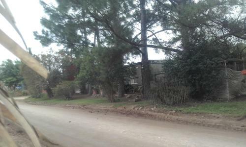 La Casa De Los Pinos