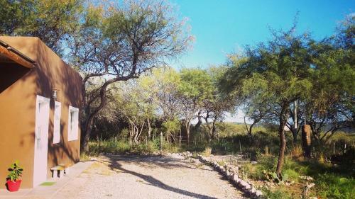 Entre Sierras Y Pajaros