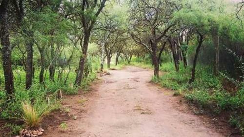 Entre Sierras Y Pajaros