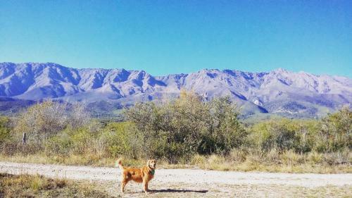 Entre Sierras Y Pajaros
